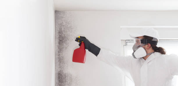 Best Mold Cleaning Services  in North Sioux City, SD